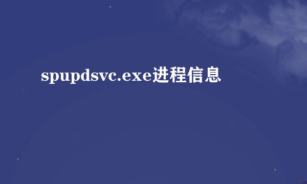 spupdsvc.exe进程信息