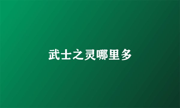 武士之灵哪里多