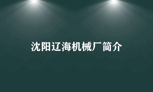 沈阳辽海机械厂简介