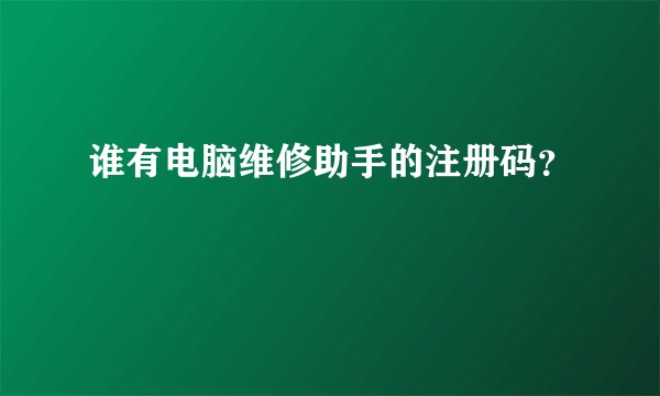 谁有电脑维修助手的注册码？