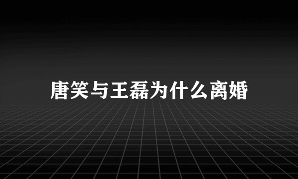 唐笑与王磊为什么离婚