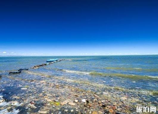 西宁到青海湖怎么坐车