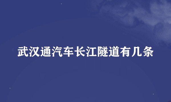 武汉通汽车长江隧道有几条