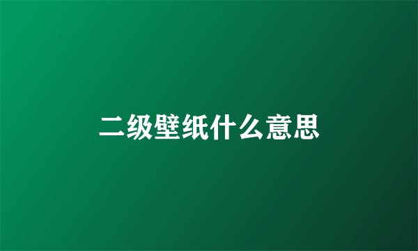 二级壁纸什么意思