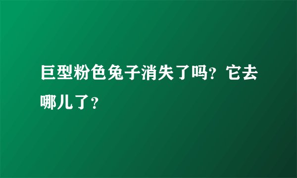 巨型粉色兔子消失了吗？它去哪儿了？
