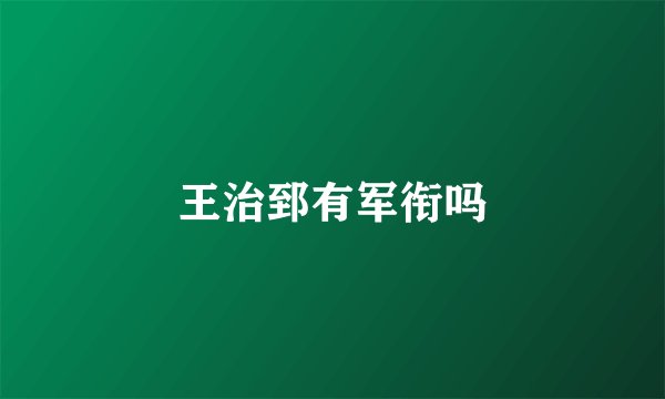 王治郅有军衔吗