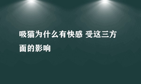 吸猫为什么有快感 受这三方面的影响