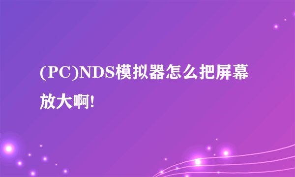 (PC)NDS模拟器怎么把屏幕放大啊!