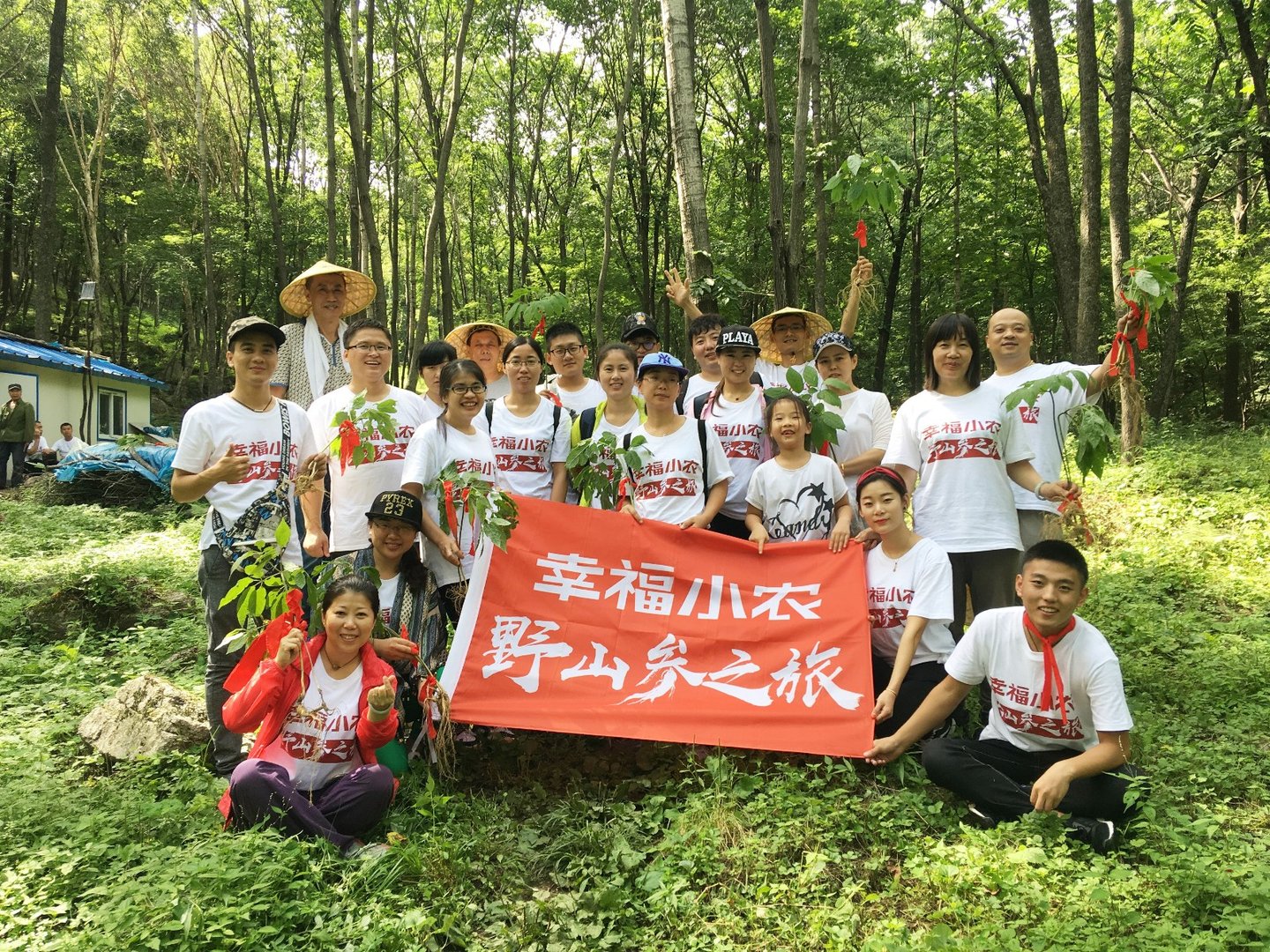 人参哪里的最好,怎么才能买到正品的人参?