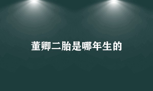 董卿二胎是哪年生的