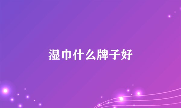湿巾什么牌子好