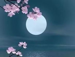 “江畔何人初见月,江月何年初照人”是什么意思