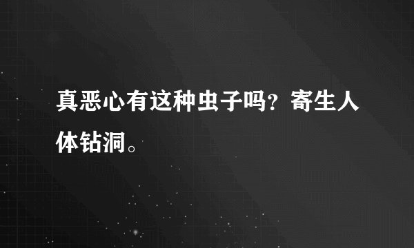 真恶心有这种虫子吗？寄生人体钻洞。
