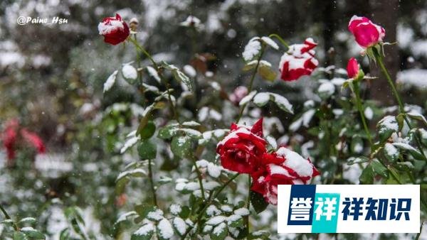 11月的北京 暴雪中的景山