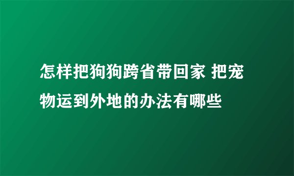 怎样把狗狗跨省带回家 把宠物运到外地的办法有哪些
