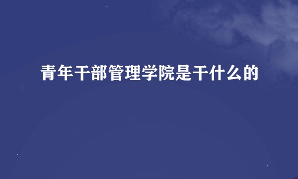 青年干部管理学院是干什么的