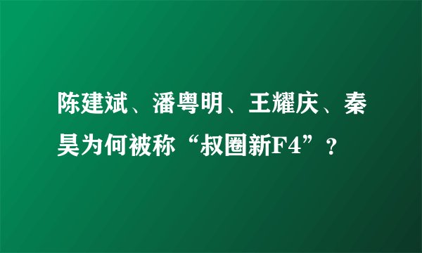 陈建斌、潘粤明、王耀庆、秦昊为何被称“叔圈新F4”？