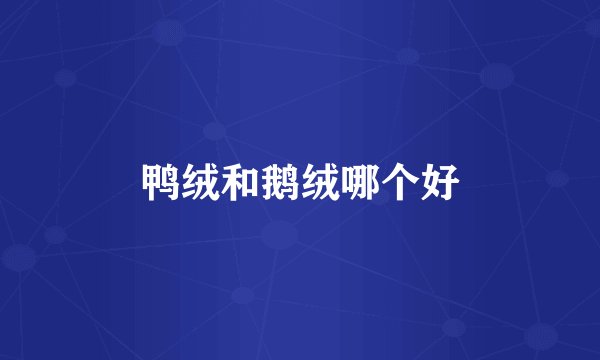 鸭绒和鹅绒哪个好