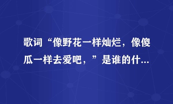 歌词“像野花一样灿烂，像傻瓜一样去爱吧，”是谁的什麽歌。全