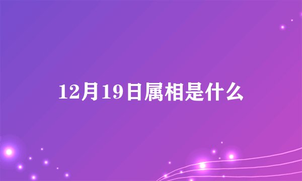 12月19日属相是什么