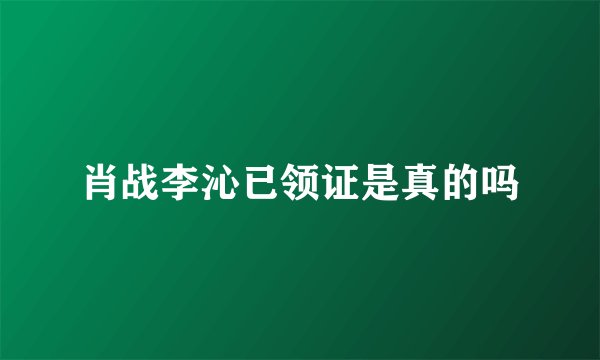 肖战李沁已领证是真的吗