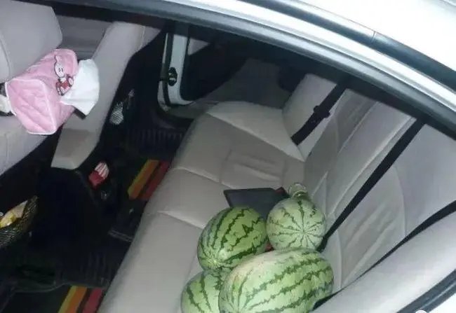 为寻求刺激,山东两男一女开宝马偷上千斤西瓜,他们会面临什么处罚?