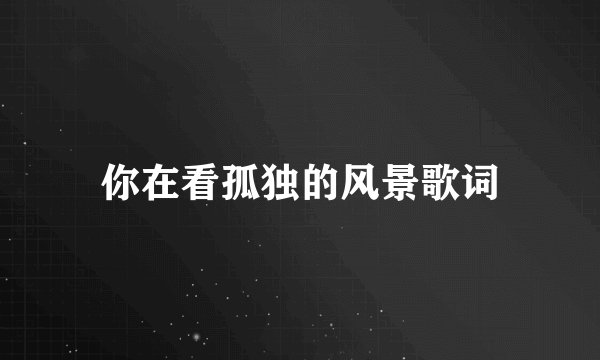 你在看孤独的风景歌词