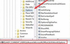 word2016总是弹出“无法启动转换器”