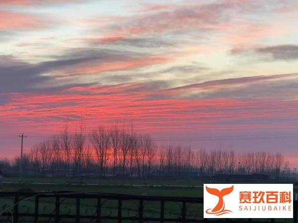 在体制内的这些年:以平凡之心,筑健康之基,稳情绪之舟