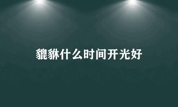 貔貅什么时间开光好