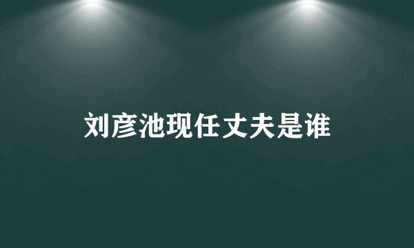 刘彦池现任丈夫是谁