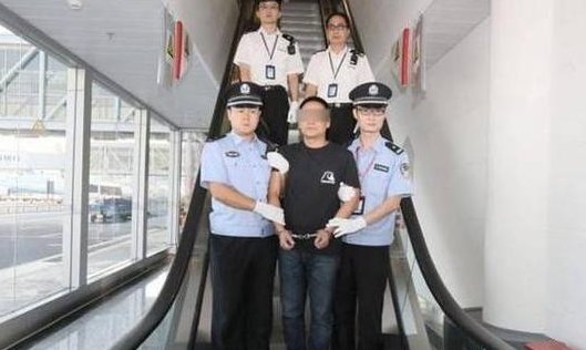 走秀网CEO被抓是真的吗?