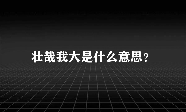 壮哉我大是什么意思？