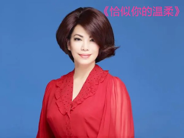 恰似你的温柔歌词