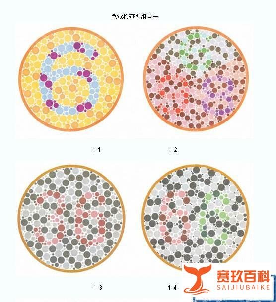 上海考驾照体检项目有哪些?体检什么?