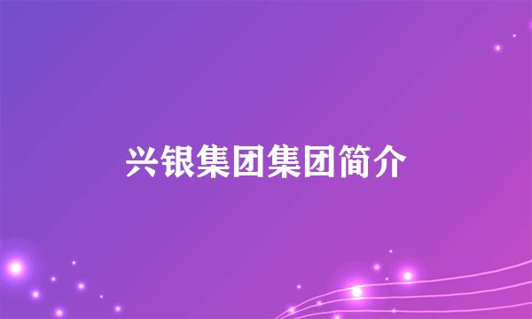 兴银集团集团简介