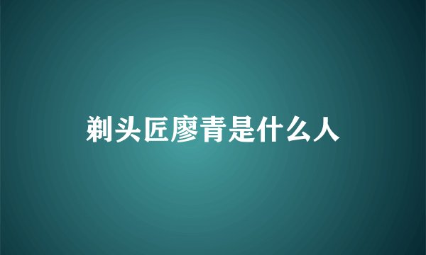 剃头匠廖青是什么人