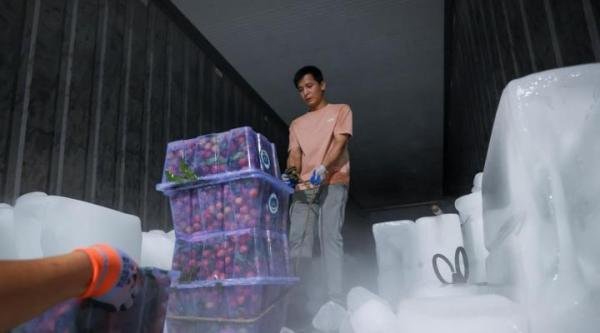 中国荔枝60一斤卖给迪拜土豪,中国水果征服世界!