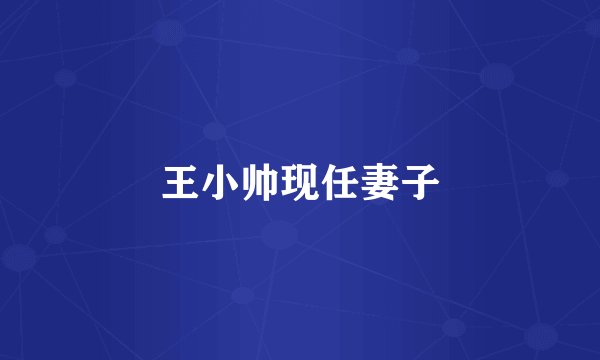 王小帅现任妻子