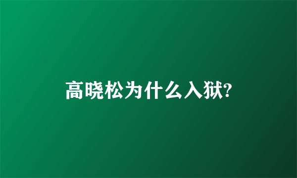高晓松为什么入狱?