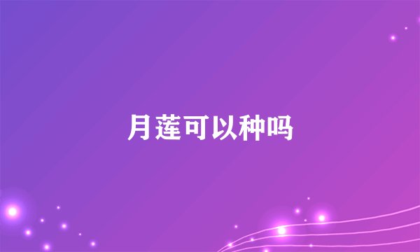 月莲可以种吗