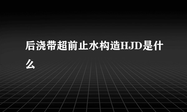 后浇带超前止水构造HJD是什么