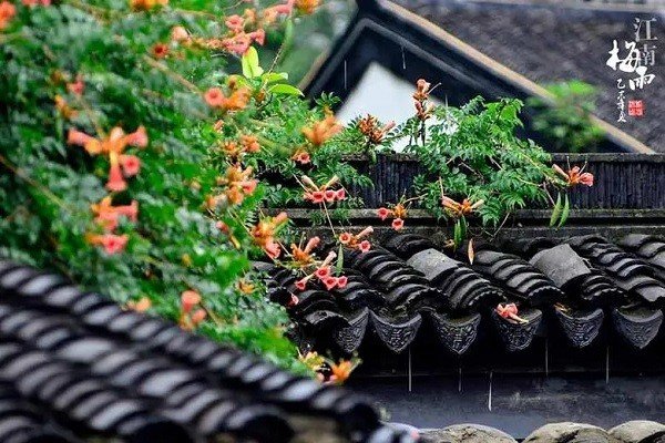 以蠡测海的典故