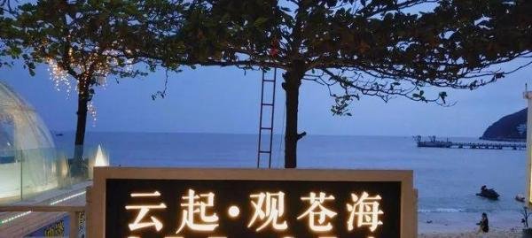 太突然!“海胆蒸蛋”当事人道歉!网友:我更加不敢去三亚了