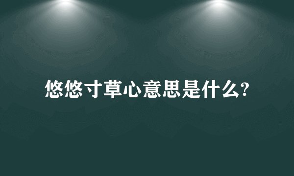 悠悠寸草心意思是什么?