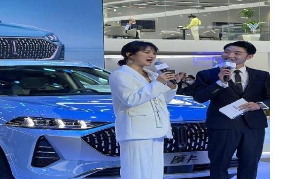 姚安娜入驻上海车展究竟有什么不妥