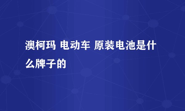 澳柯玛 电动车 原装电池是什么牌子的