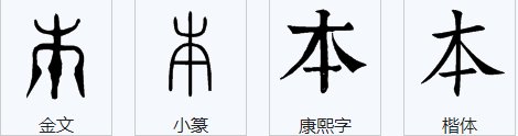 一本道在日语里是什么意思