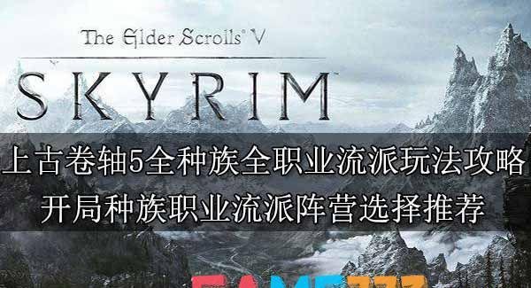 上古卷轴5全种族全职业流派玩法攻略-开局种族职业流派阵营选择推荐