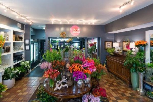 深圳宝安哪里有鲜花店?